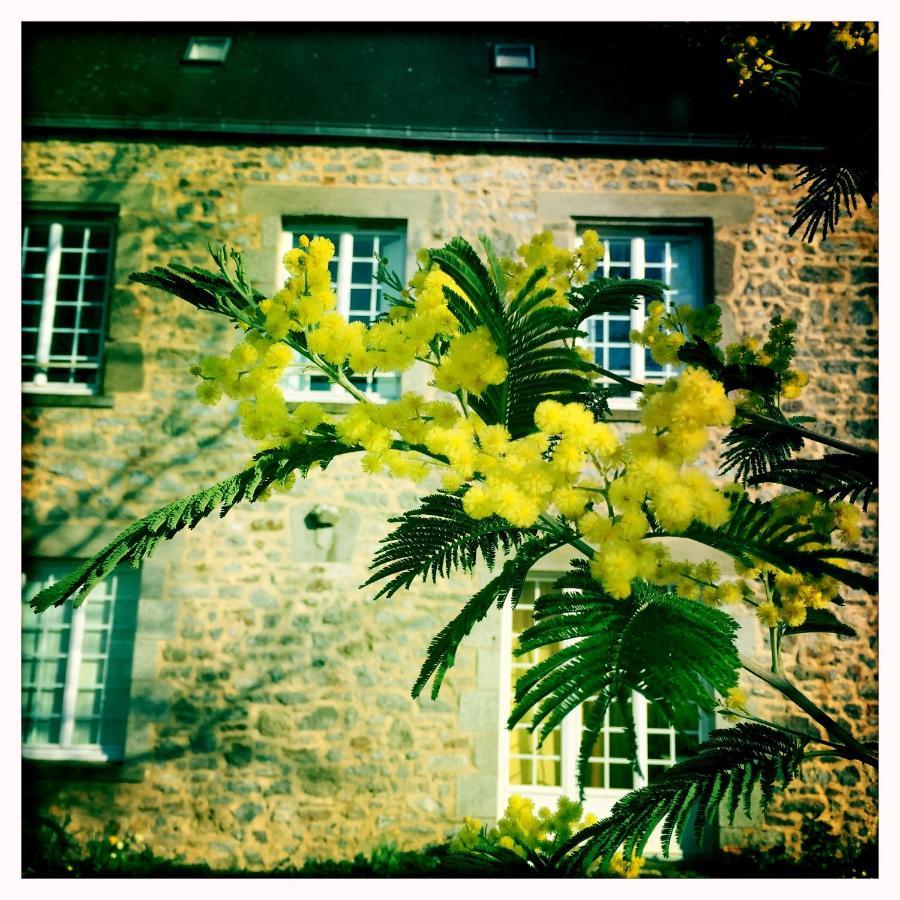 Manoir De La Grand'Cour Bed & Breakfast Soulge-sur-Ouette ภายนอก รูปภาพ